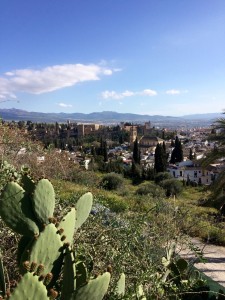 View from apartments in Albaicín