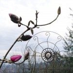 flowering tree at Pittock Mansion