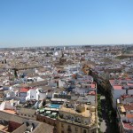 view from Sevilla's Cathedral