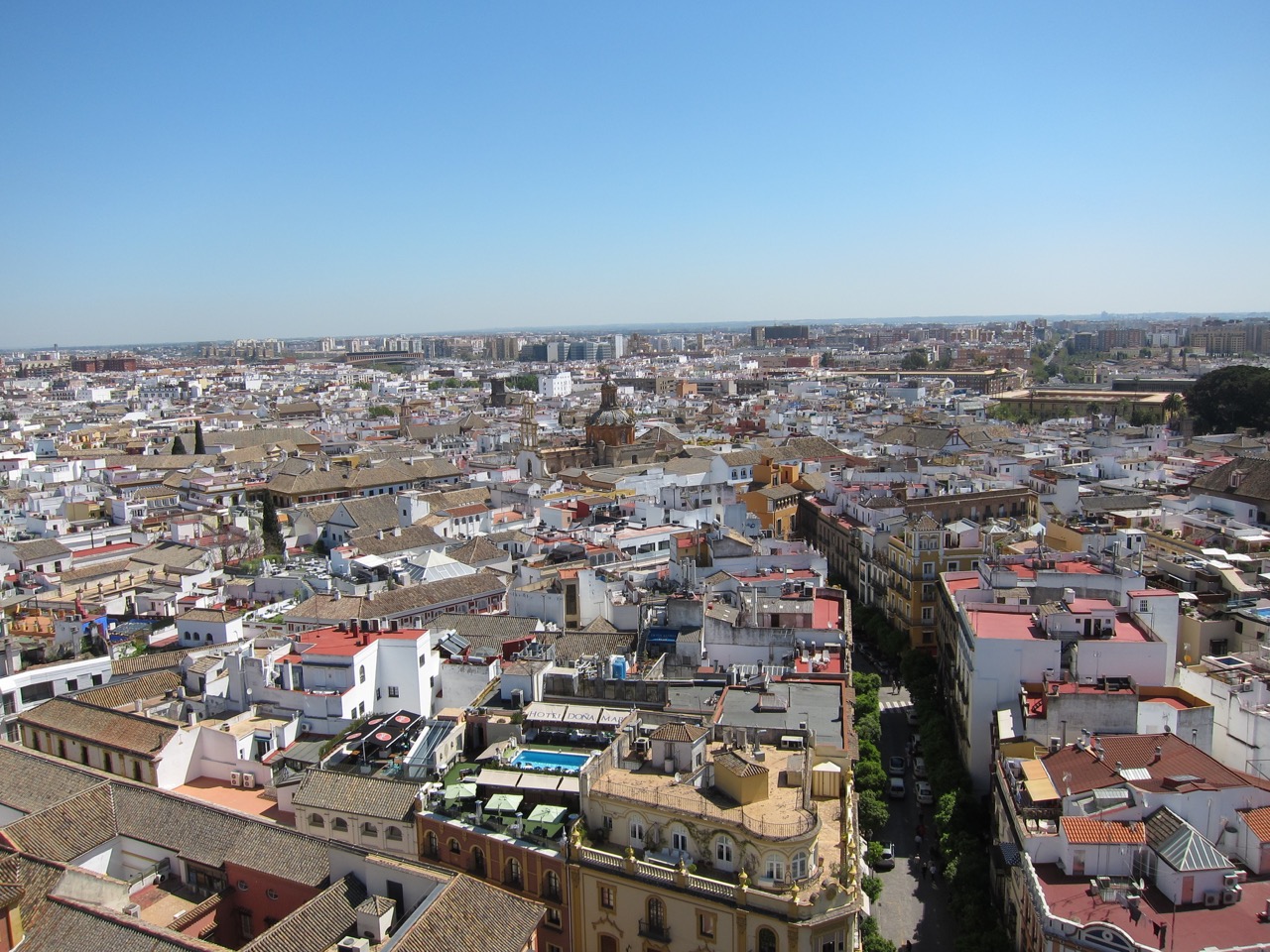 view from Sevilla's Cathedral