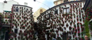 Patio Panorama (Córdoba)