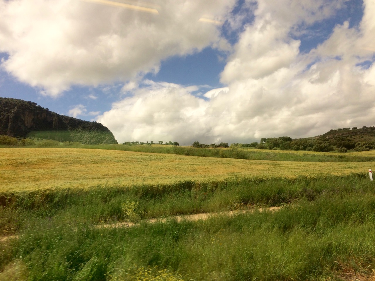 Train Window View