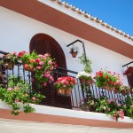 Balcony Flowers (Maro)