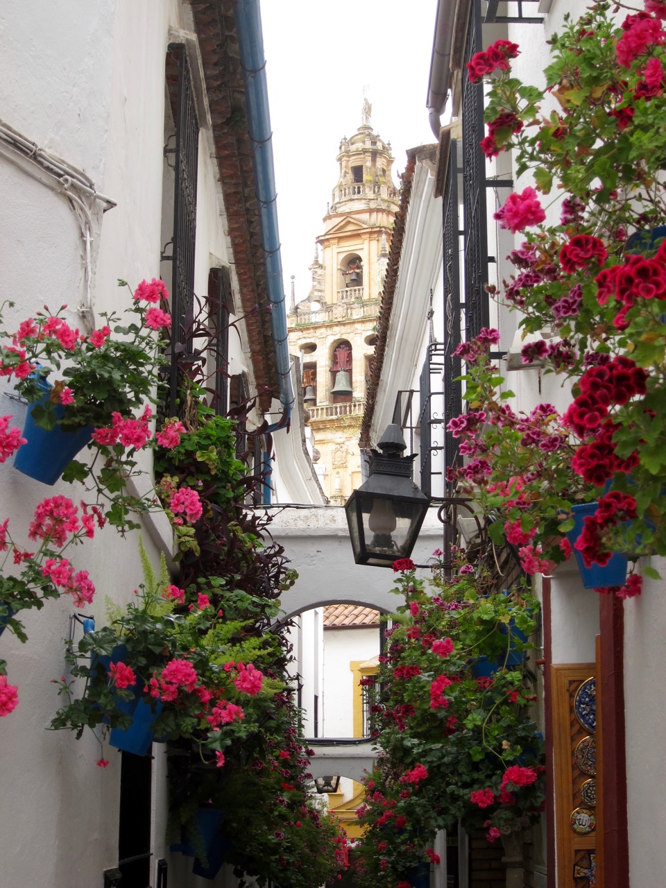 Calle de las Flores, Córdoba