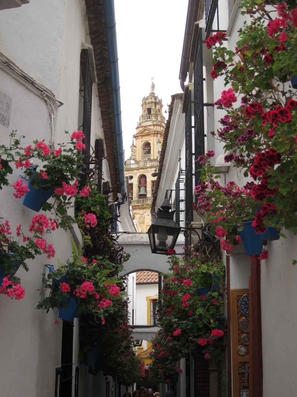 Calle de Flores