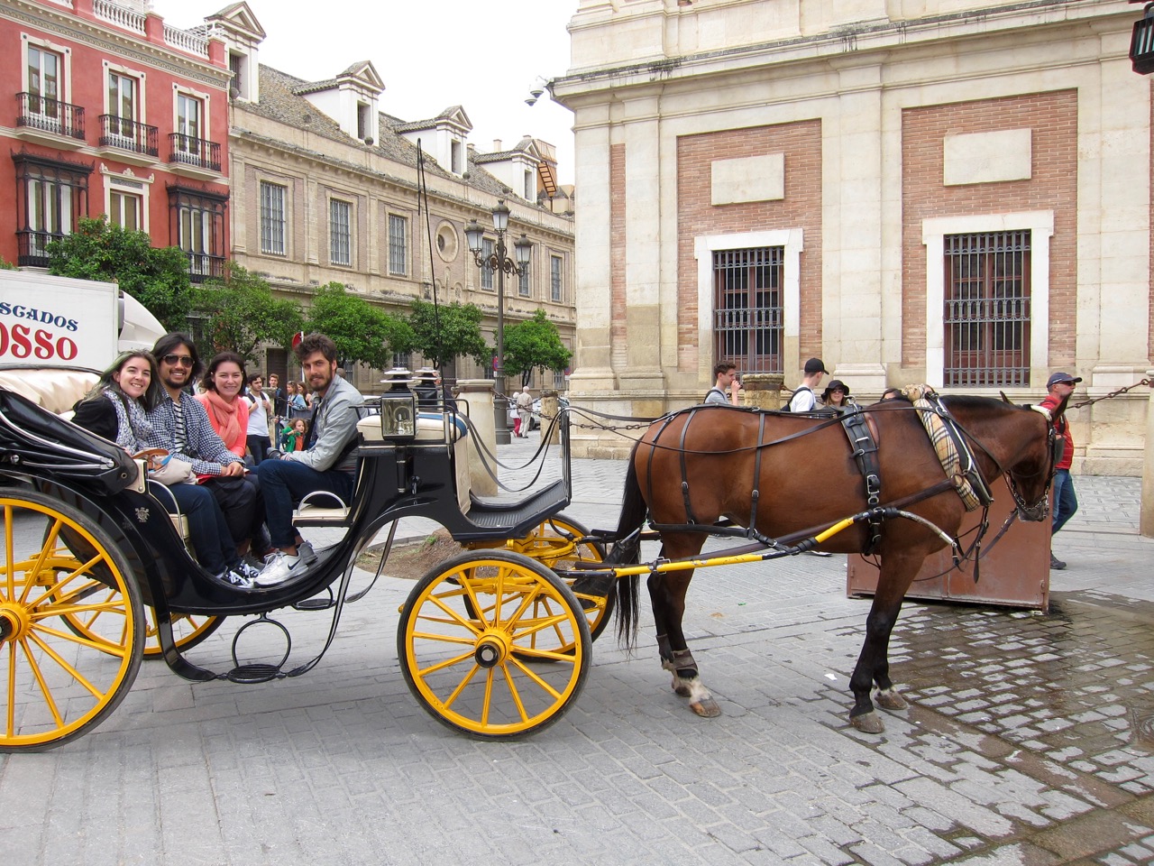 Carriage Ride Crew