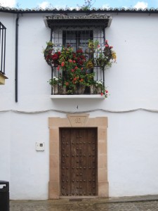 Cute door in Ronda