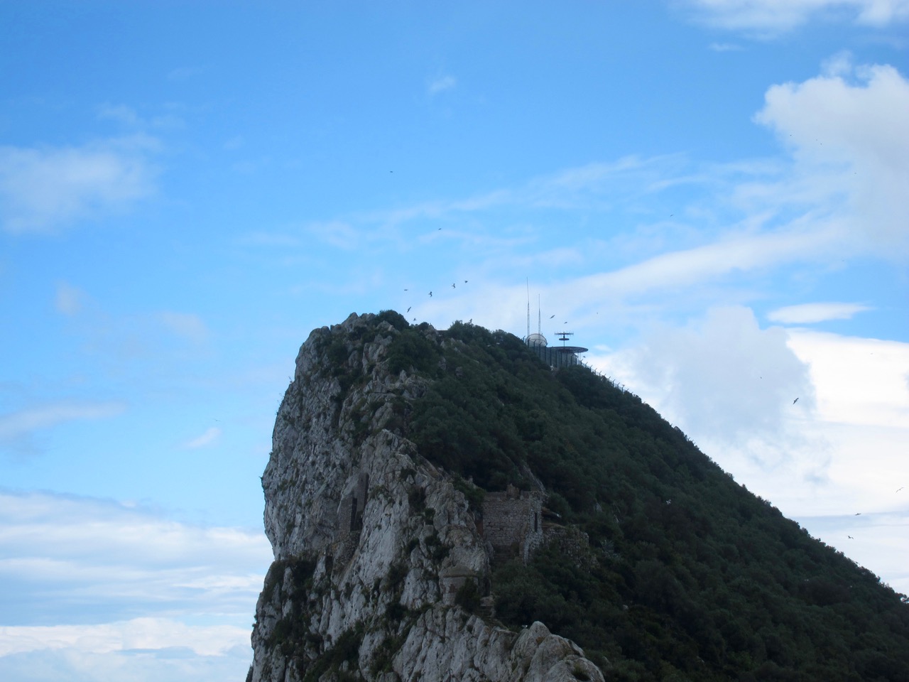 Rock of Gibraltar, Observatory, and Birds