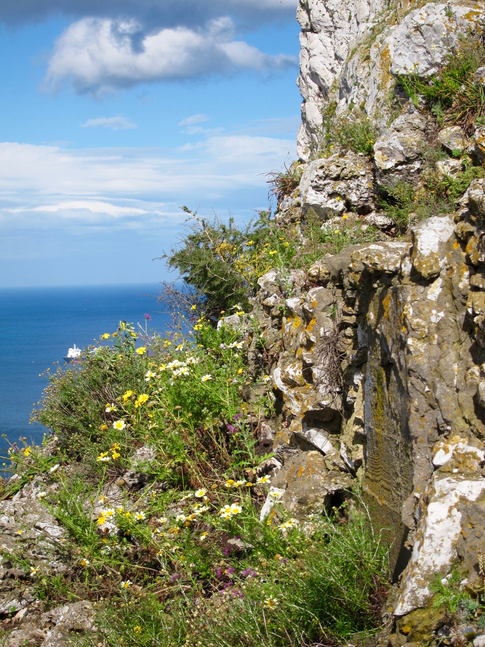 Rocks an Vegetation