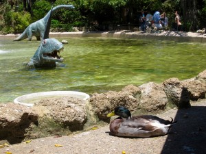 Dinosaur Lunch