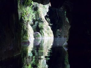 Labyrinthic Grotto